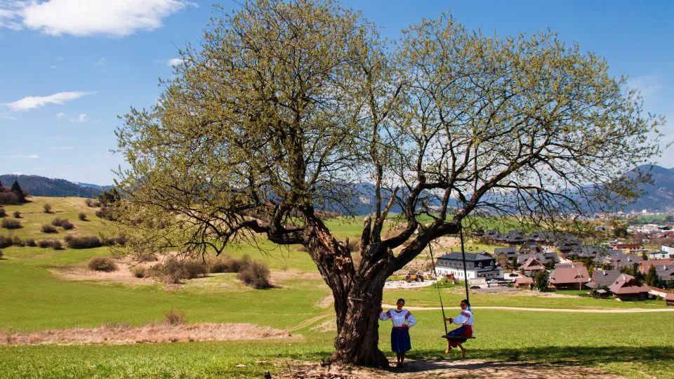 All in one - u nás na Liptove